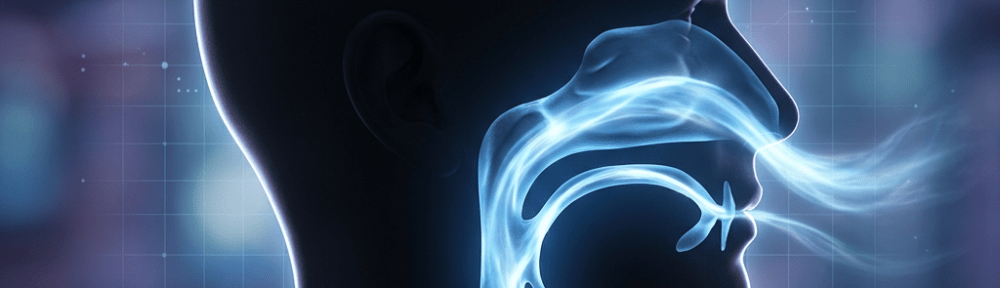 Side profile of a human head with airflow moving through nasal and oral passages into the throat.